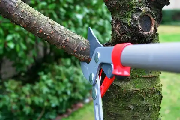 tree services Trafford